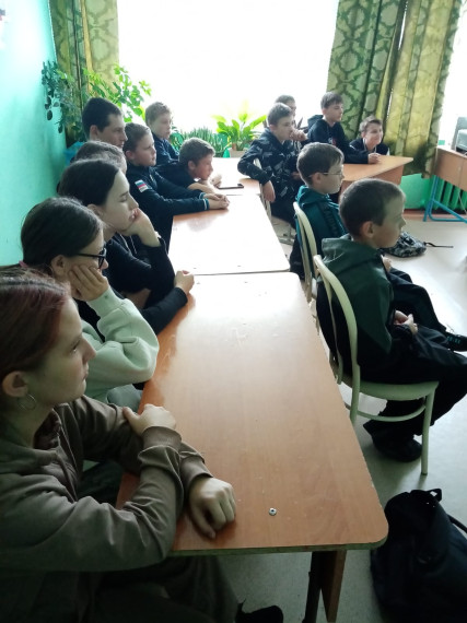 Поезд Полбеды.